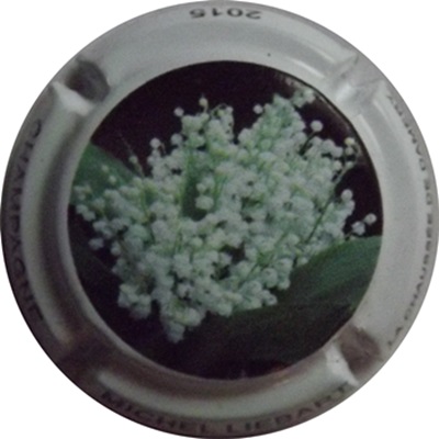 N°11c Bouquet de muguet
Photo René COSSEMENT
