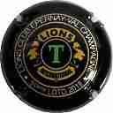 Nom du fichier=NR_Epernay_20182C_lettre_T_verte2C_fond_noir.jpg
Taille du fichier=41Ko
Dimensions : 400x400
Ajouté le : 29 Janvier 2018 NR_Epernay_20182C_lettre_T_verte2C_fond_noir.jpg