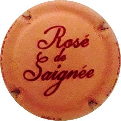 N°20g Rosée de saignée, 2012 sur contour
Photo Martine PUPIN
