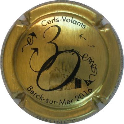 N°06e 30ème cerfs-volants 2016,  Or et noir
Photo Bernard DUQUENNE
