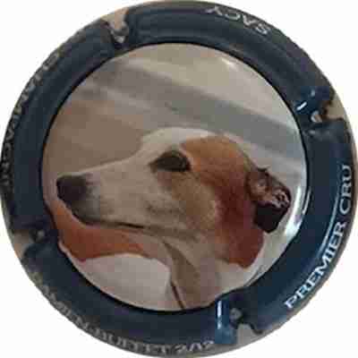 N°04 Série de 12 (Lévrier), N°02 Contour bleu
Photo Bernard DUQUENNE
