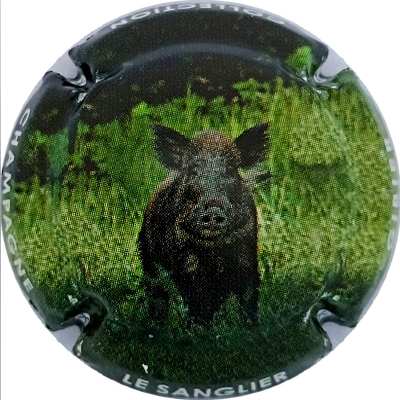 C110 Sanglier
Photo Jacky MICHEL
