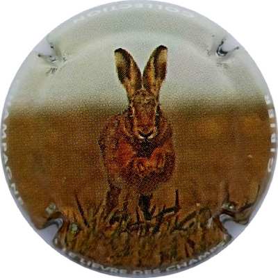 C110b Lievre des champs
Photo Jacky MICHEL
