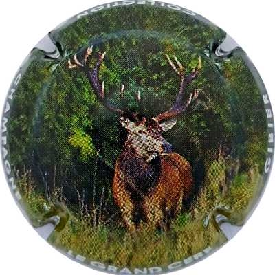 C110f Grand cerf
Photo Jacky MICHEL
