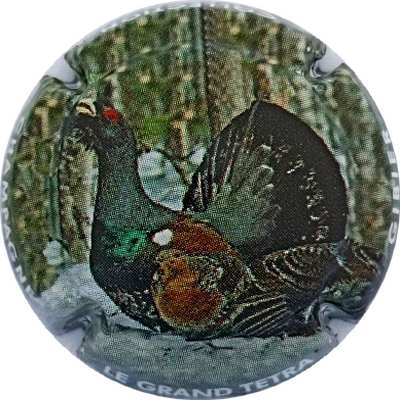 C110g Grand Tétra
Photo Jacky MICHEL
