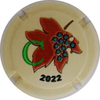 C150 Puzzle CHAMPAGNE 2022 en relief, C
Photo Jacky MICHEL
