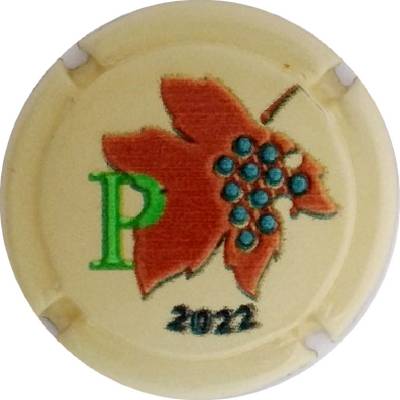 C150d Puzzle CHAMPAGNE 2022 en relief, P
Photo Jacky MICHEL
