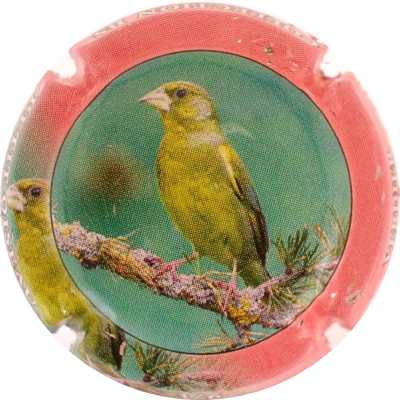 C154b 3/6 Verdier
Photo Bernard DUQUENNE
