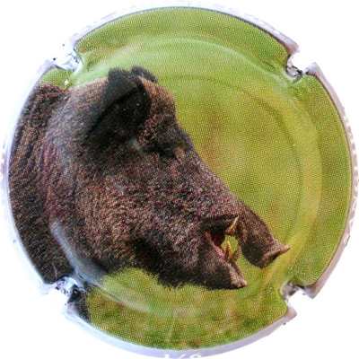 C157 1/6 Sanglier
Photo Bernard DUQUENNE
