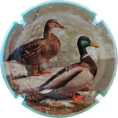 C157 3/6 Canard
Photo Bernard DUQUENNE
