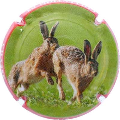 C157 4/6 Lièvre
Photo Bernard DUQUENNE
