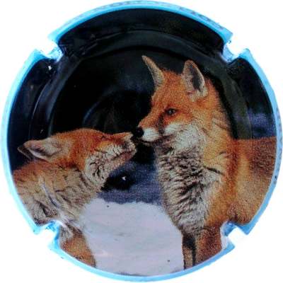 C157 6/6 Renard
Photo Bernard DUQUENNE
