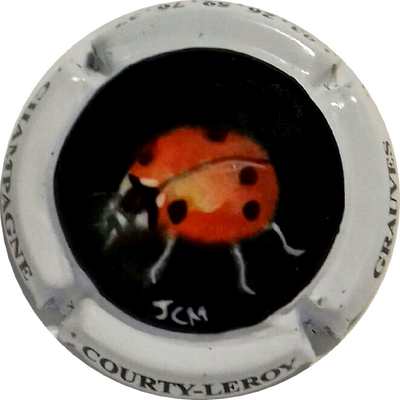 N° 77 Coccinelle, Fond noir, Contour blanc
Photo Philippe MARINIER
