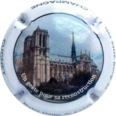 N°40 Notre Dame de Paris, 15 Avril 2019
Photo Philippe MARINIER

