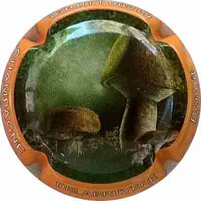 N°15 Série champignons Contour jaune
Photo Bernard DUQUENNE
