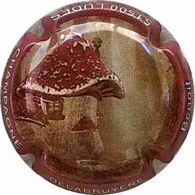 N°15 Série champignons Contour marron
Photo Bernard DUQUENNE
