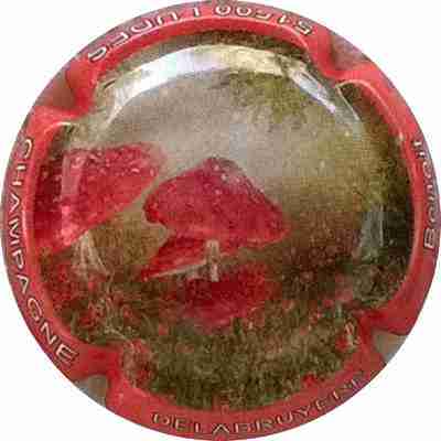 N°15 Série champignons Contour orange
Photo Bernard DUQUENNE
