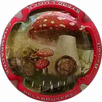 N°15 Série champignons Contour rouge
Photo Bernard DUQUENNE
