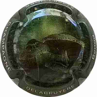 N°15 Série champignons Contour vert
Photo Bernard DUQUENNE
