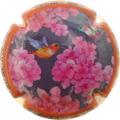 N°16 Série de 6 (Fleurs) Contour orange
Photo Bernard DUQUENNE
