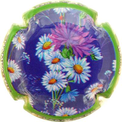 N°16 Série de 6 (Fleurs) Contour vert
Photo Bernard DUQUENNE
