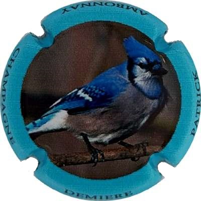 N°13 Contour bleu
Photo Jacky MICHEL
