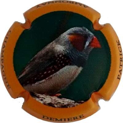 N°13a Contour orange
Photo Jacky MICHEL
