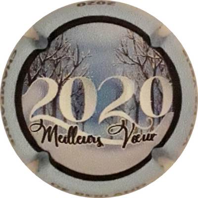 N°04 Voeux 2020, Contour bleu
Photo Martine PUPIN
