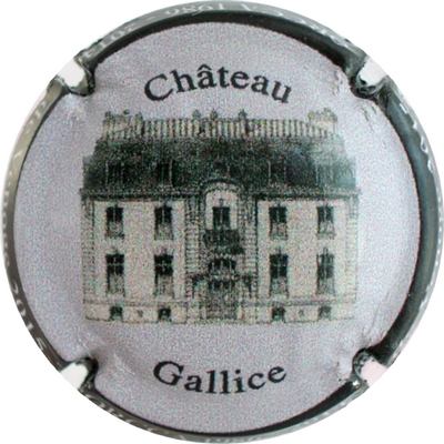 N°237 Château Gallice
Photo Bernard DUQUENNE
