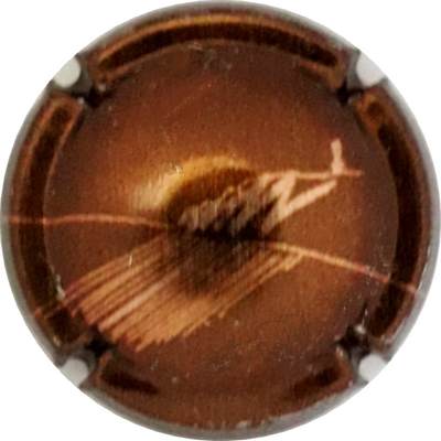 N°01x-NR Marron métallisé et or
Photo Martine PUPIN
Mots-clés: NR