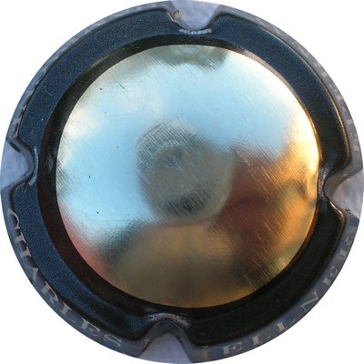 _NR Or, contour noir
Photo Bernard DUQUENNE
ATTENTION : plaque inconnue de la maison Charles Ellner > considérée comme FAUSSE 
Mots-clés: NR