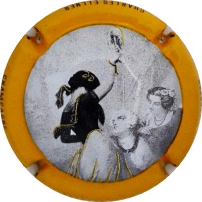 N°20d Contour jaune
Photo Martine PUPIN
