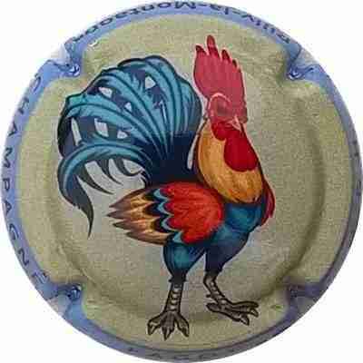 N°03b Coq contour bleu ciel
Photo Bernard DUQUENNE
Merci LEUMAS
