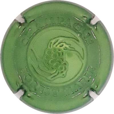 N°08j Estampée vert métallisé (Estampage différent)
Photo Martine PUPIN
