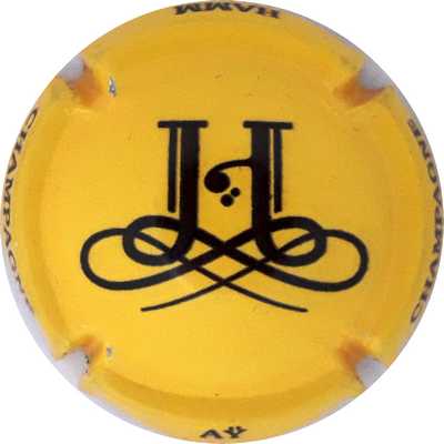 N°15 Jaune et noir
Photo Martine PUPIN
