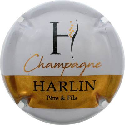 N°07b Blanc, bande or
Photo Bernard DUQUENNE
