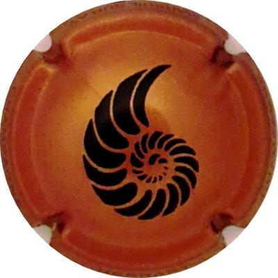 N°19c Bronze foncé et noir
Photo Martine PUPIN
