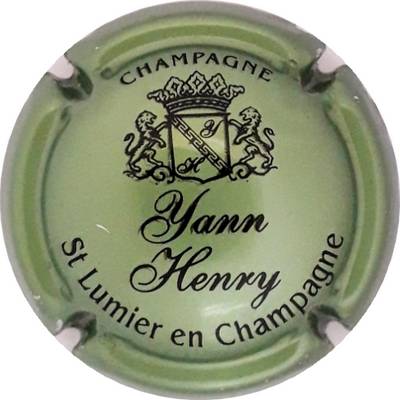 N°07C Vert métallisé et noir
Photo Martine PUPIN
