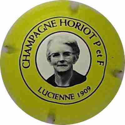 N°14g Lucienne, Vert-jaune
Martine PUPIN
