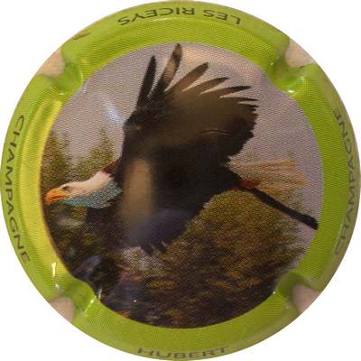 N°05 Série de 6 (oiseaux)
Photo Bernard DUQUENNE
