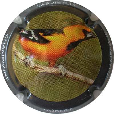 N°05 Série de 6 (oiseaux)
Photo Bernard DUQUENNE
