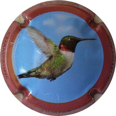 N°05 Série de 6 (oiseaux)
Photo Bernard DUQUENNE
