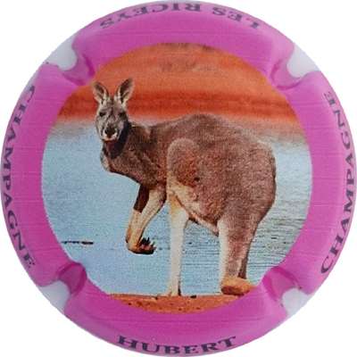 N°NR Série de 6 (Kangourou) Contour violet
Photo Jacky MICHEL
Mots-clés: NR