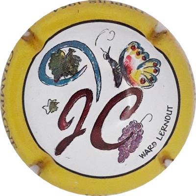 N°31 Contour jaune
Photo Martine PUPIN
