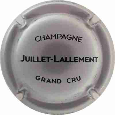 N°10b Argent et noir
Photo Martine PUPIN
