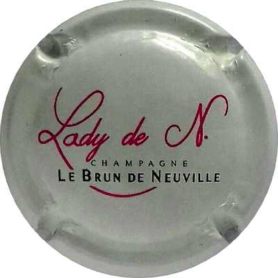 N°25 Lady  de N, rose
Photo Philippe MARINIER
