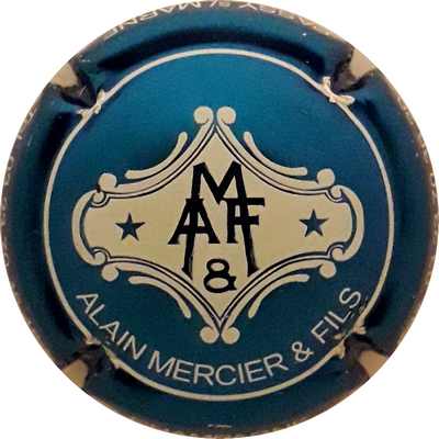 N°19 Bleu métallisé et blanc
Photo Martine PUPIN
