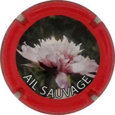 N°27d Ail sauvage
Photo Martine PUPIN
