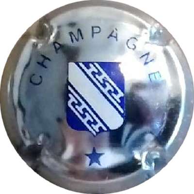 N°0461x-NR Métal, Ecusson bleu, Etoile pointe en haut
Photo Philippe MARINIER
Mots-clés: NR