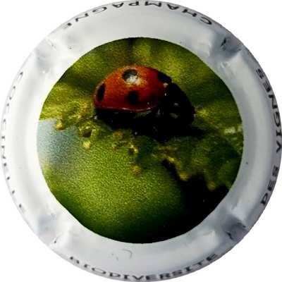 N°1318a Coccinelle
Photo Jacky MICHEL
